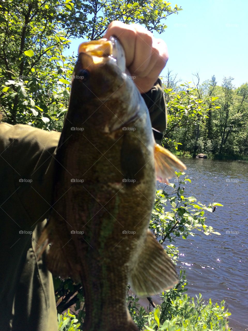 Nature, Outdoors, Fish, Water, No Person