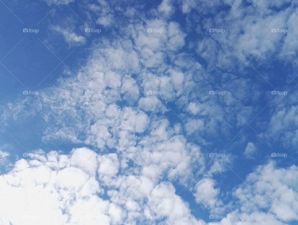 blue sky with white clouds