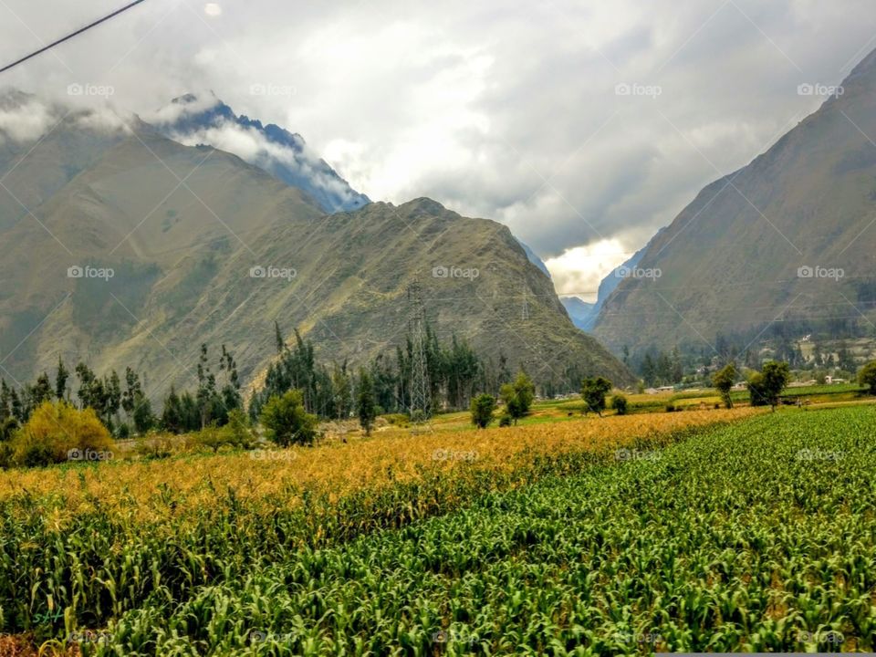 The cropland and high mountain in Peru.