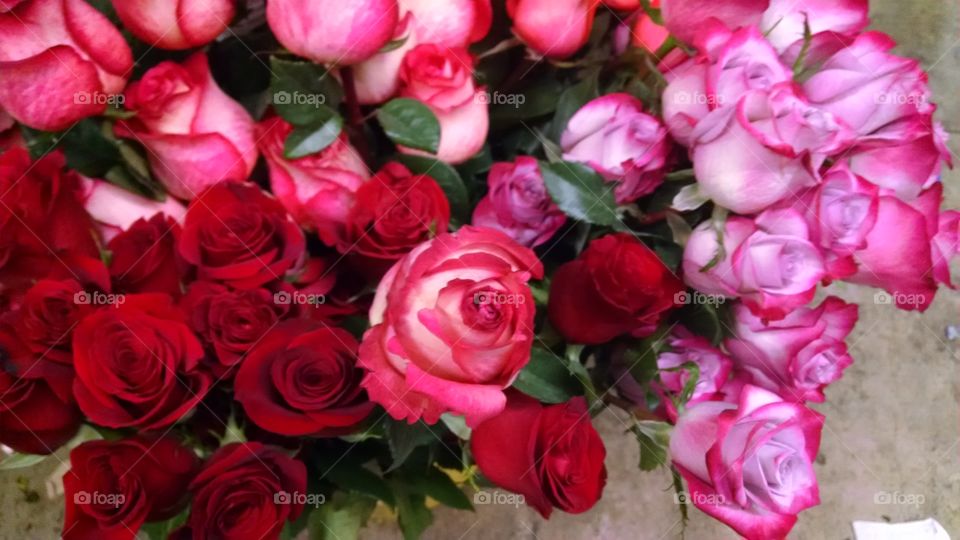 Rose, Bouquet, Love, Flower, Romance