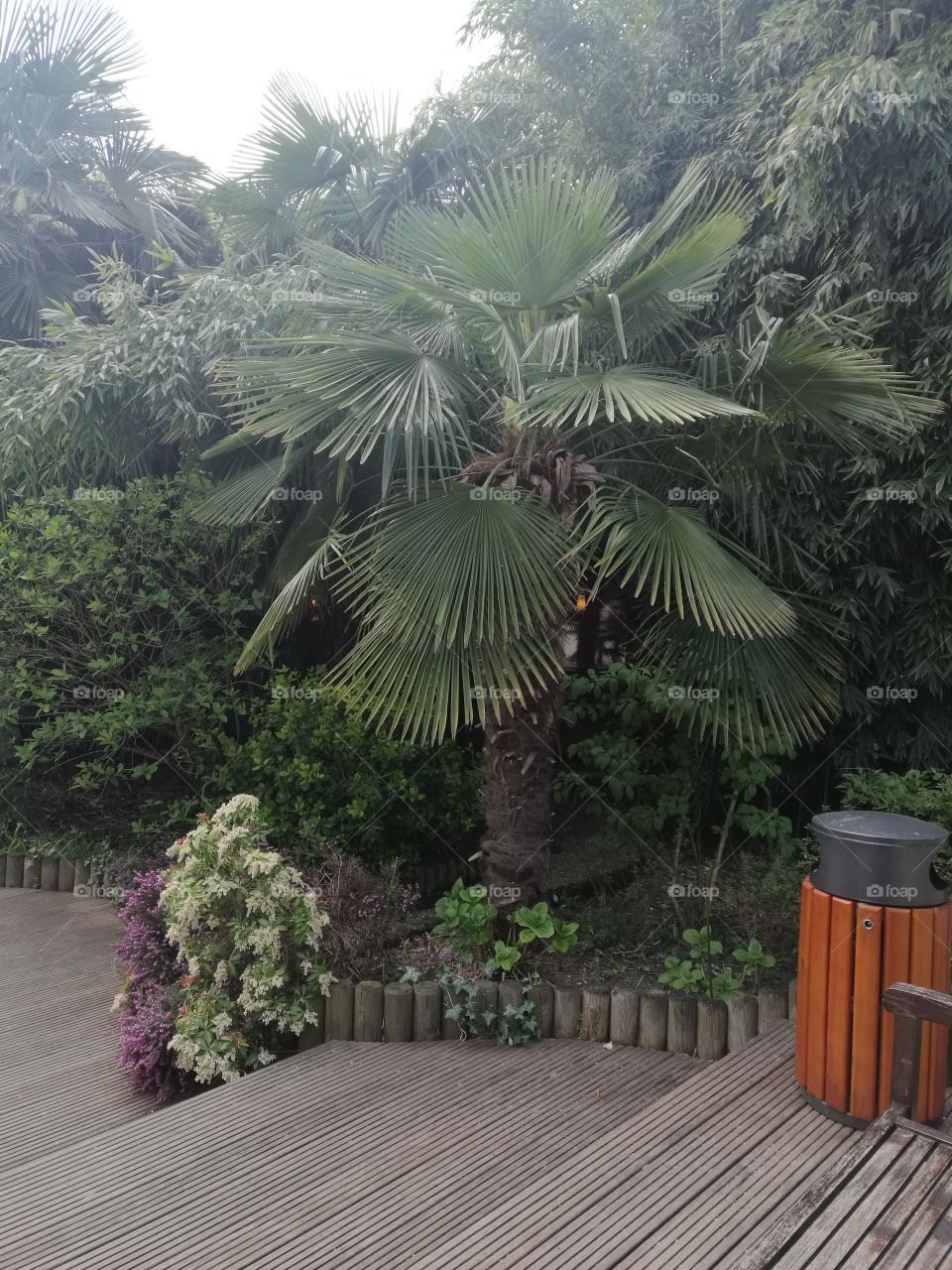 Indoor mini forrest at work