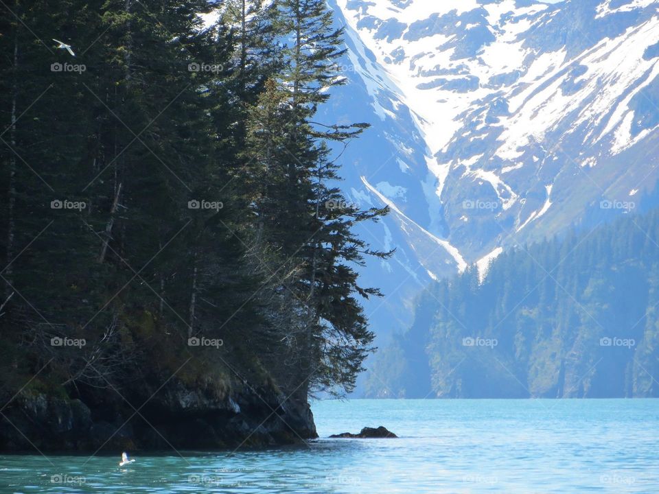 Kayaking in the beautiful state of Alaska!