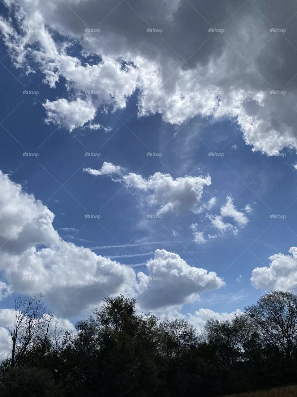 So much beauty in the sky 