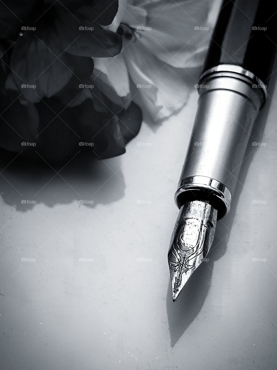 Metal. Black and white photo.  On a white background, a metal ink pen.  There is a flower in the background