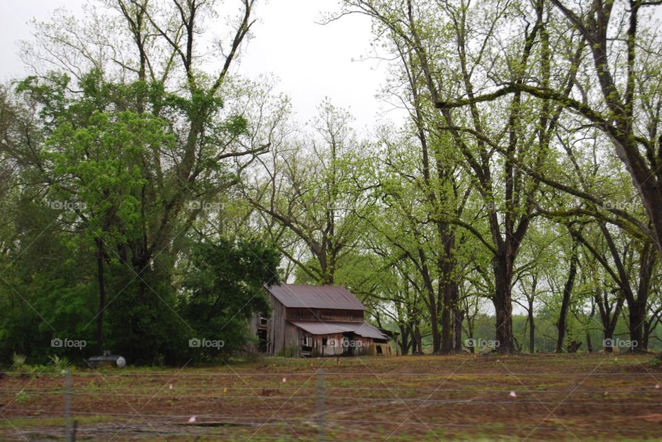 Weathered barn