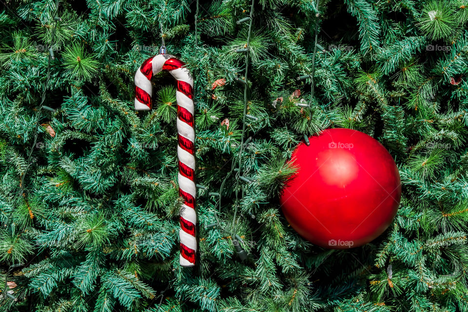 Christmas ornament and candy cane on christmas tree