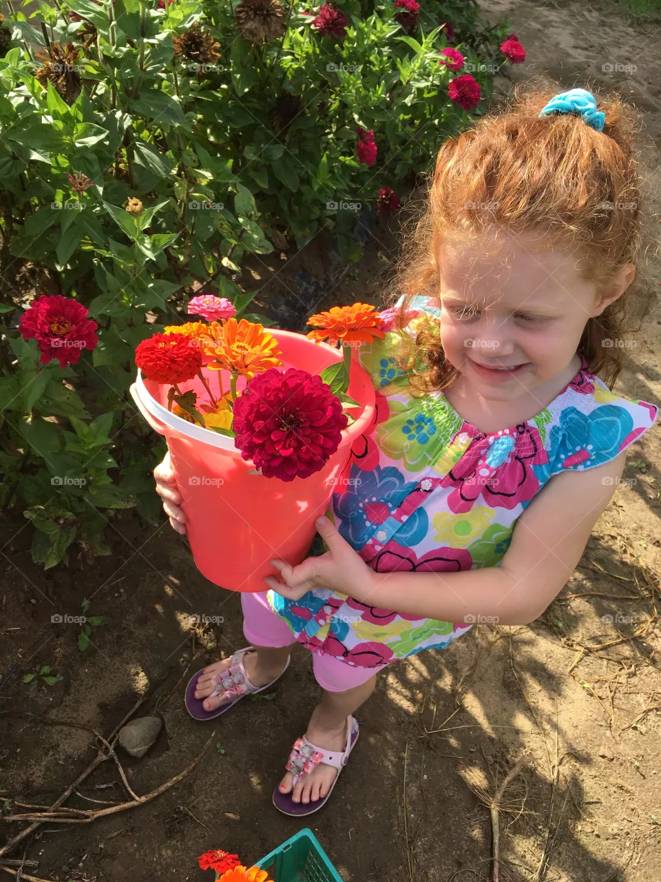Flowers 