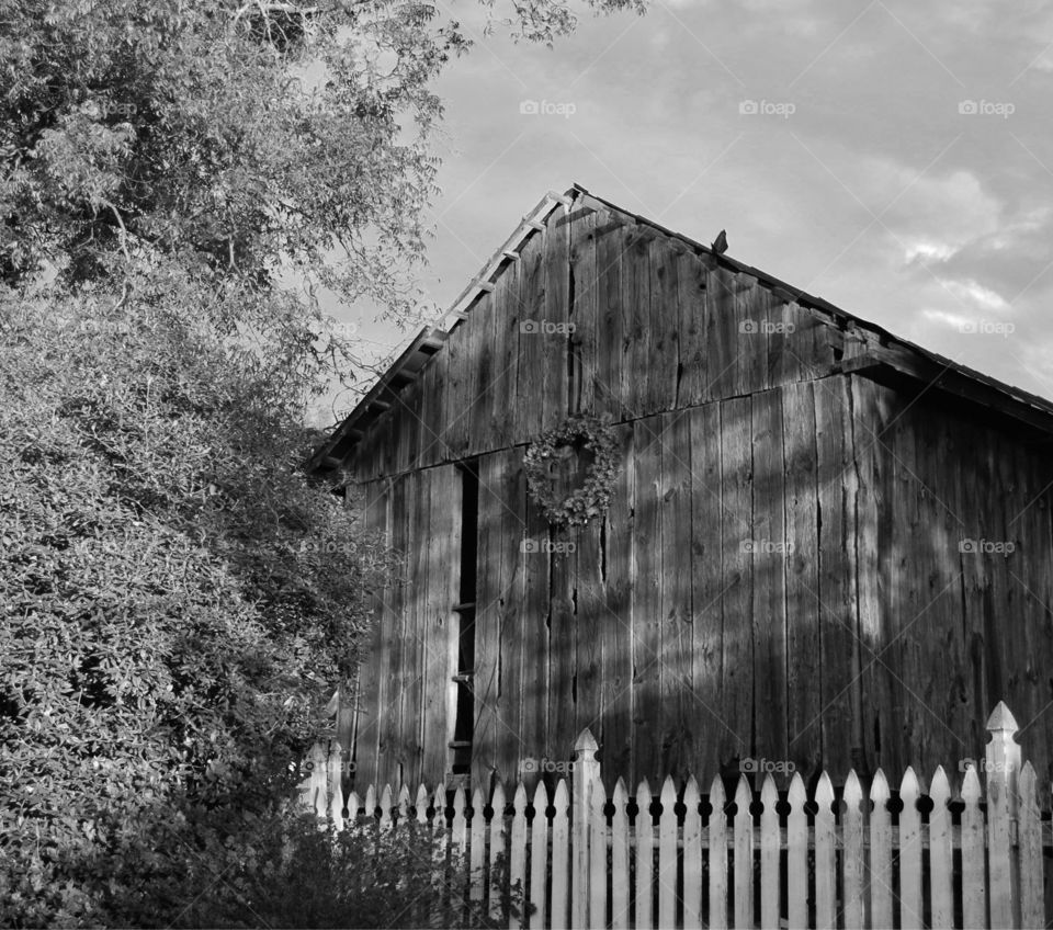 Old Barn