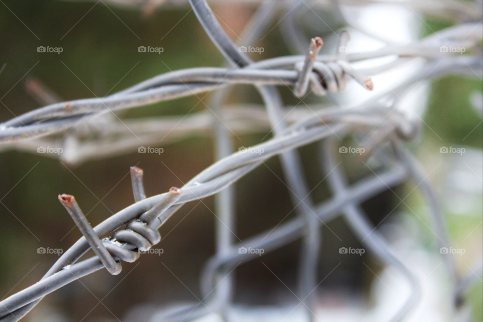 winter fence metal blur by twilite