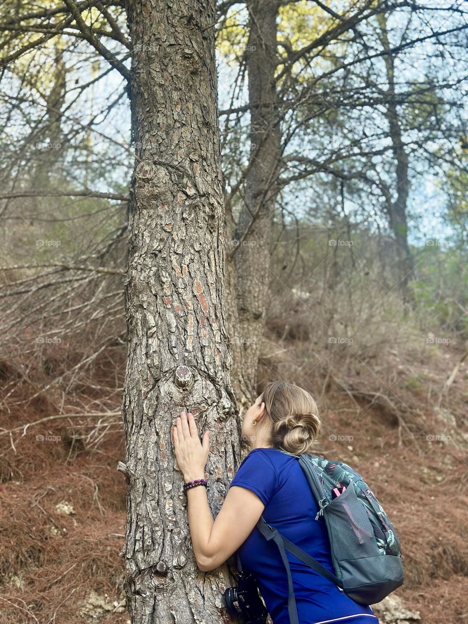 Nature#tree