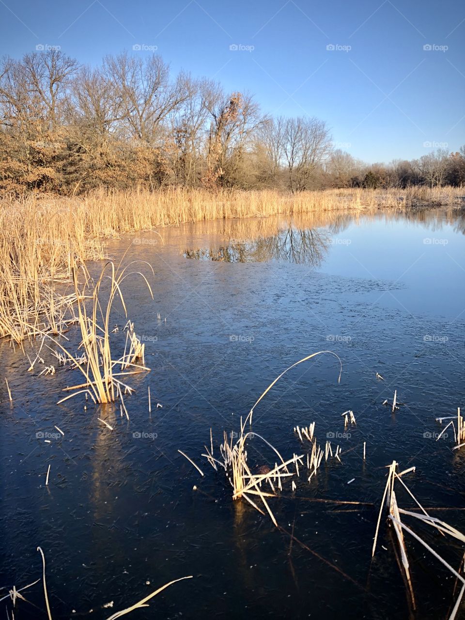 A cool fall morning in the country with ice on the water.