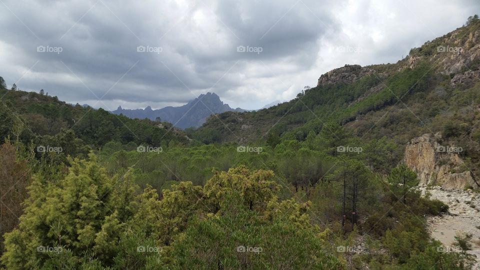 Parc naturel regional de Corse