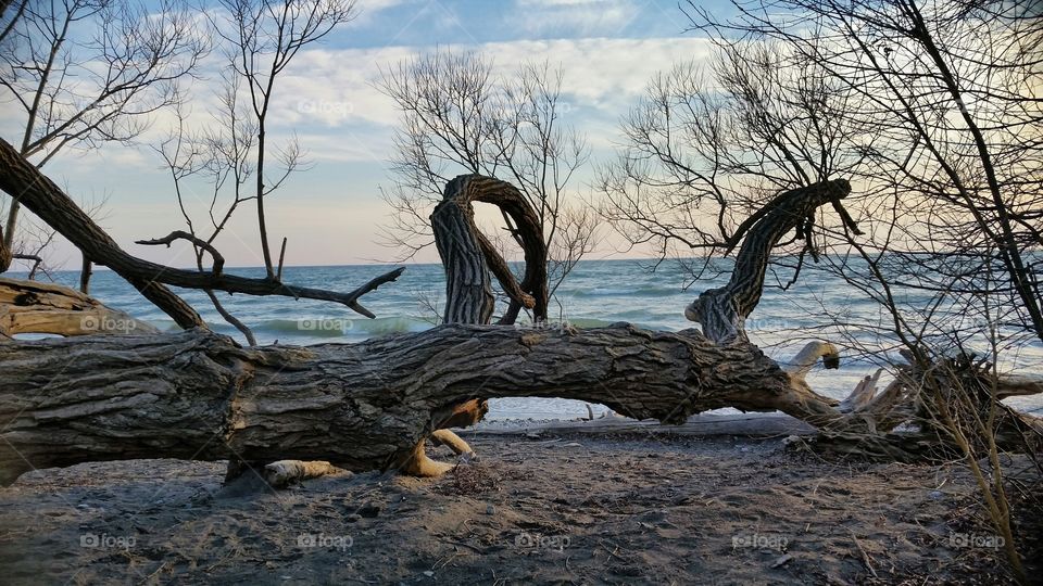 A popular spot by the water