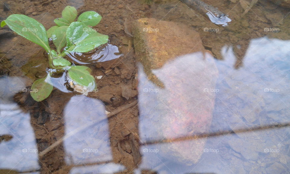 mirror on water