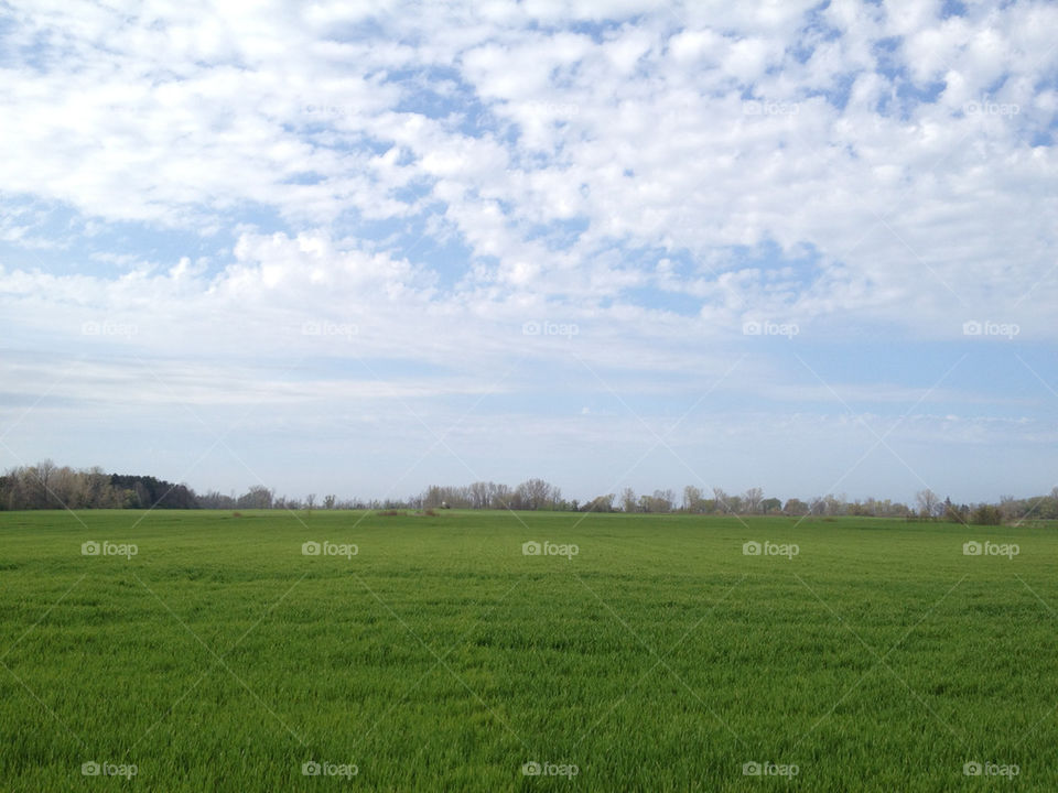 green field grass countryside by nils-andreas