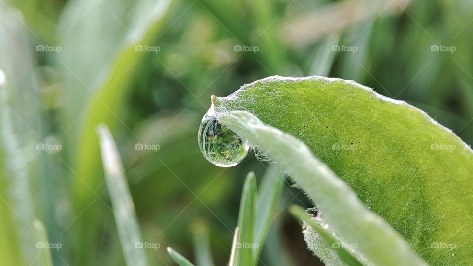 Droplet