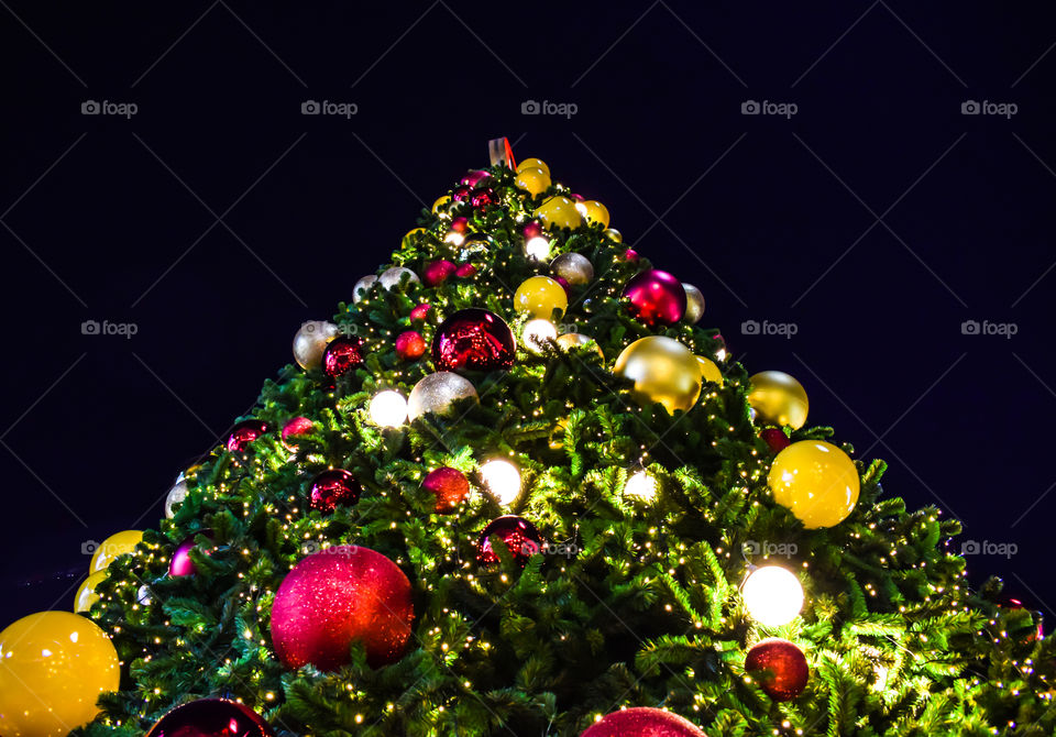 Top of Giant Christmas Tree on Night