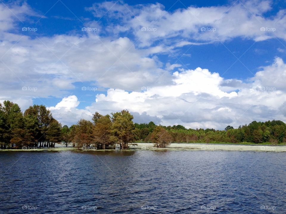 View from the boat