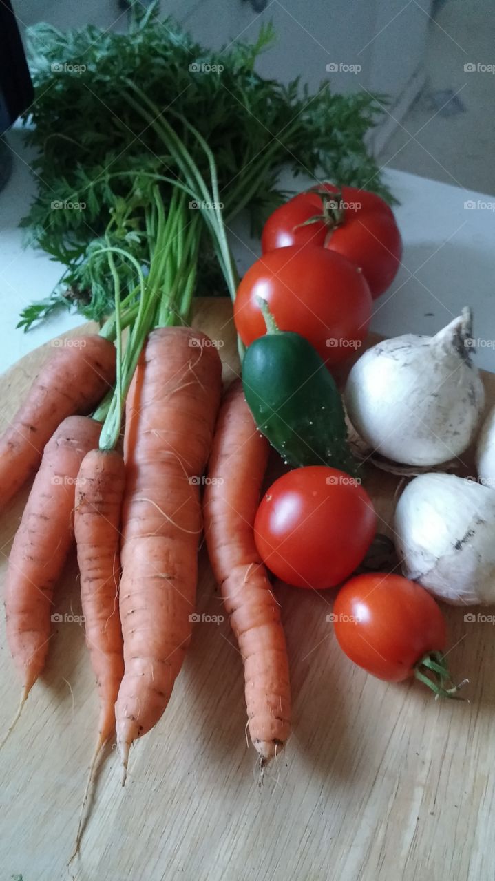 Harvest. vegetables from garden