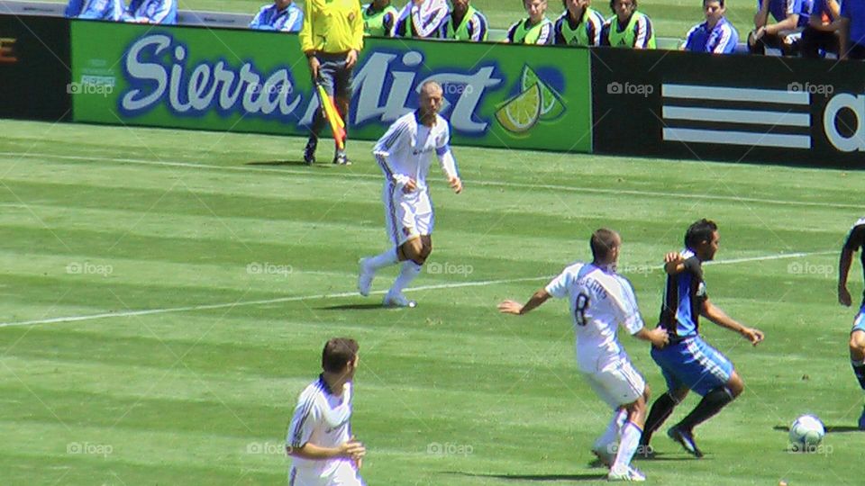 Soccer players on the field