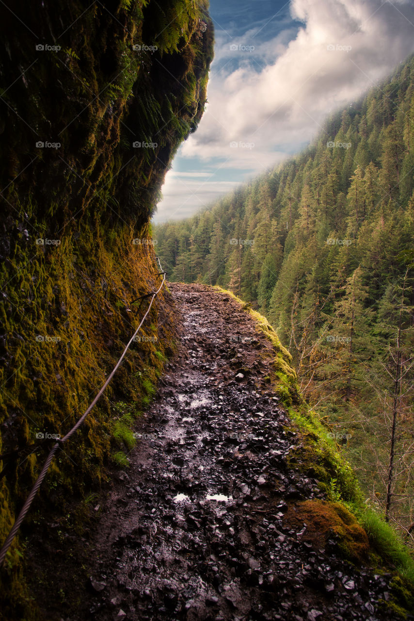 Vertigo hiking trails, Oregon 