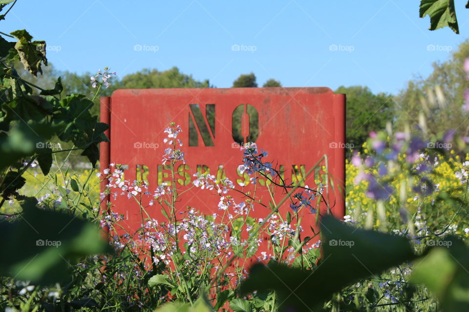 Springtime flower sign