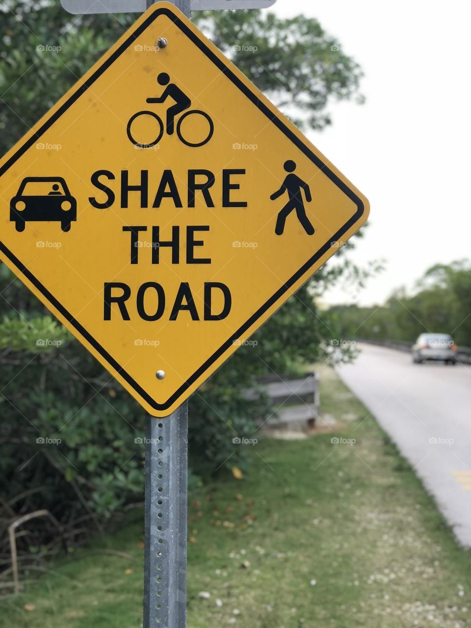 Share the road with everyone 