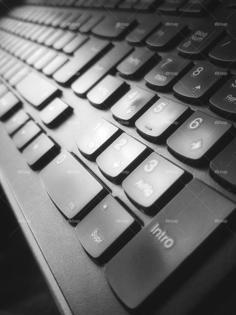 The beauty of black and white