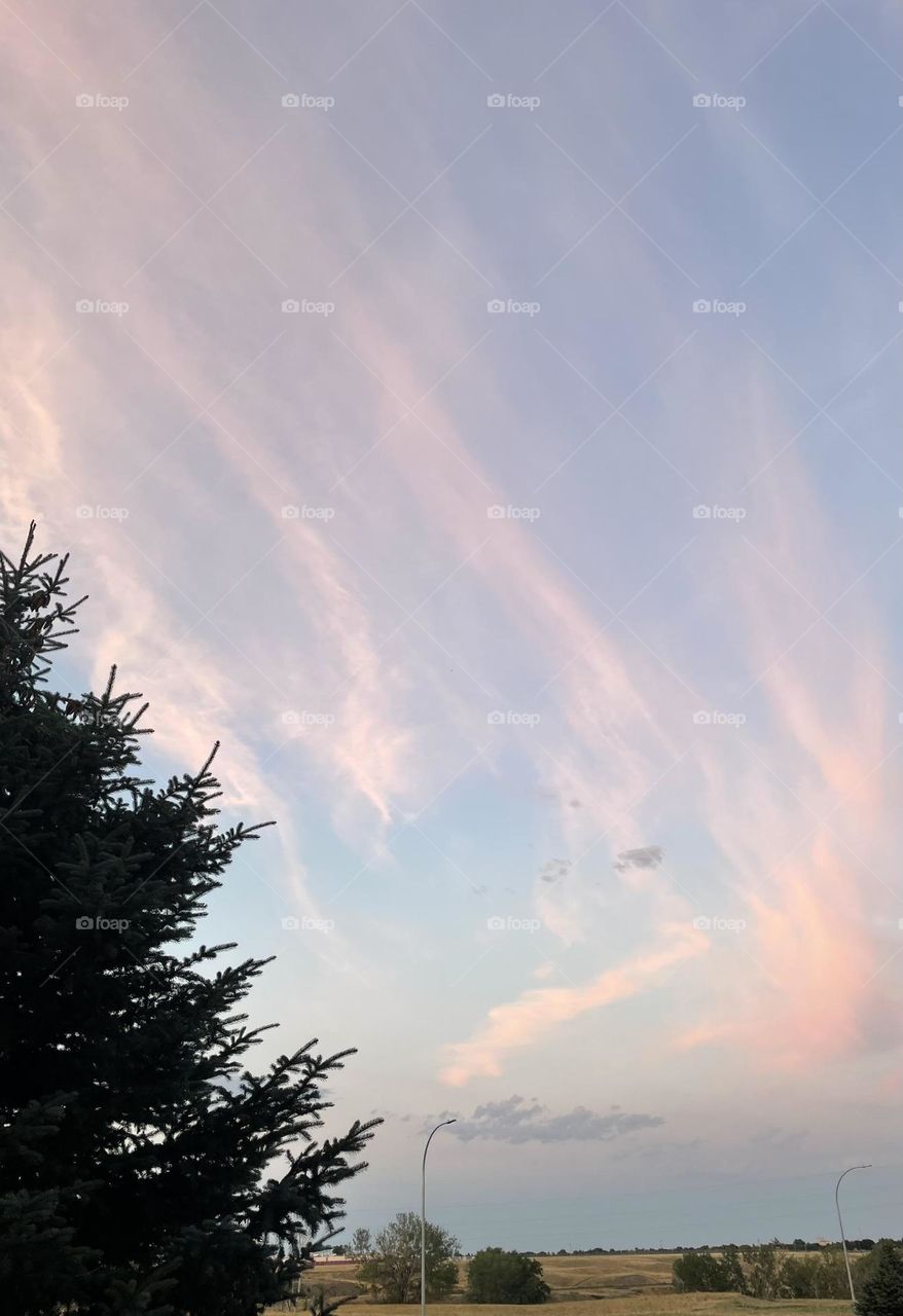 Beautiful Feathery clouds
