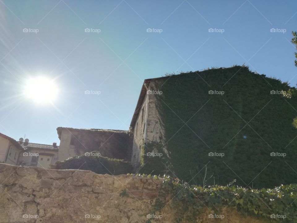 Nature invades abandoned buildings