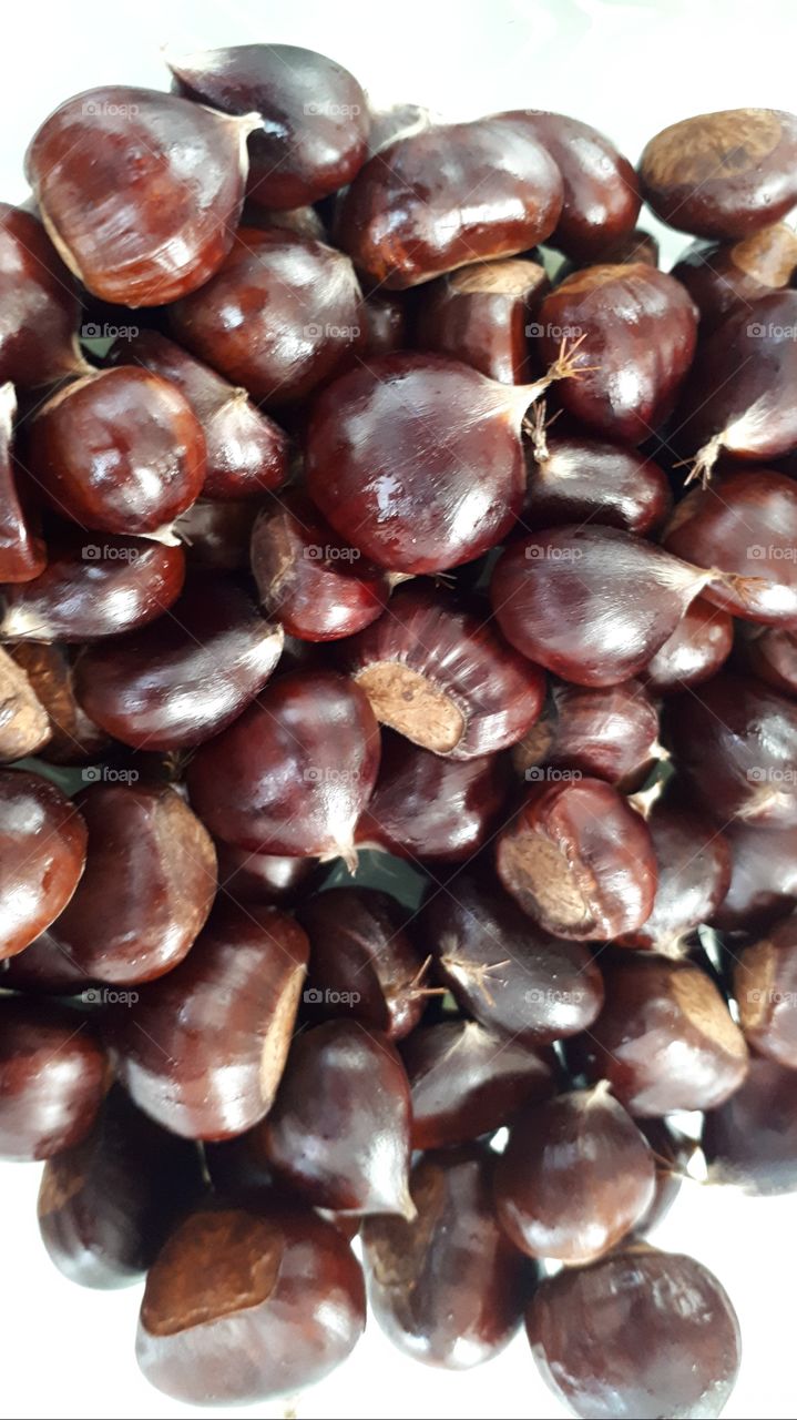 chestuts on a white background