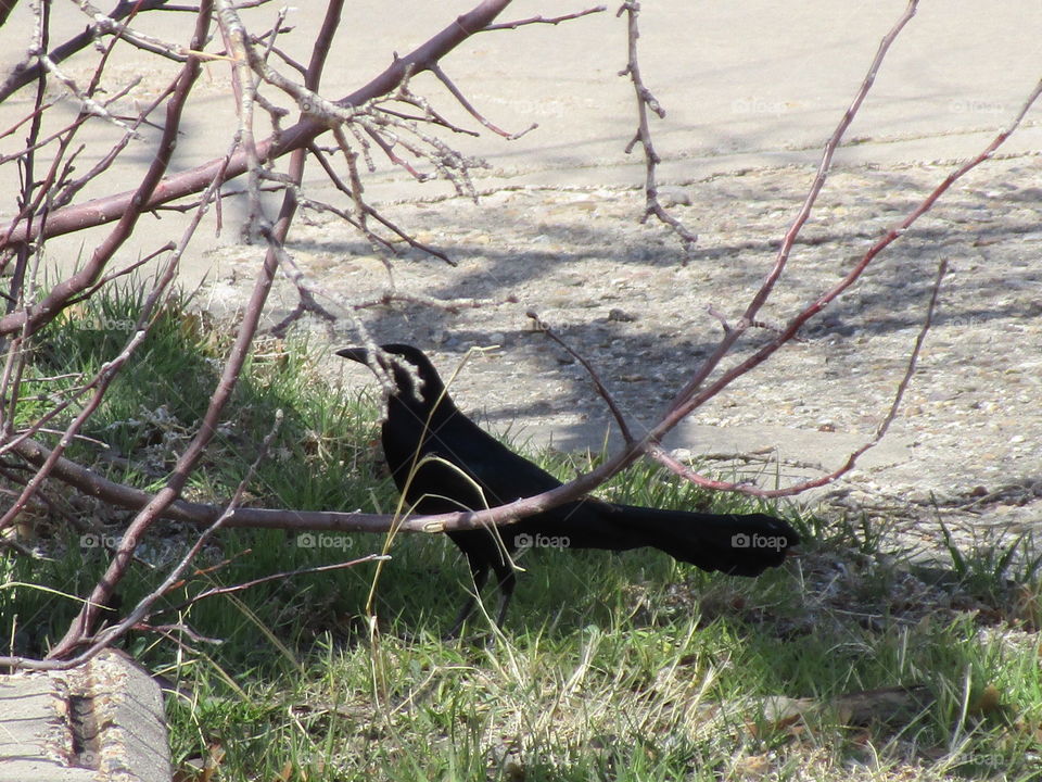 Shh we are hunting wabbits