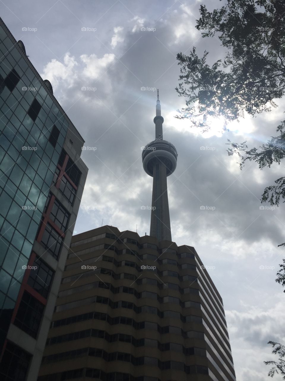 Toronto 
