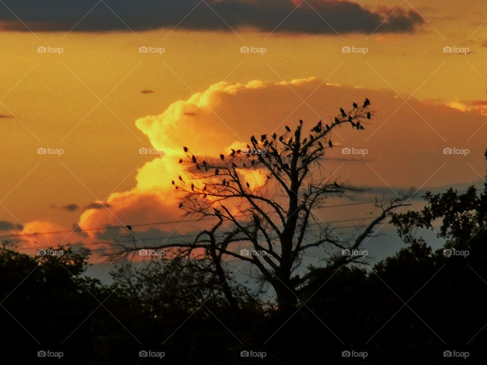 cold front. This is a picture of some clouds ☁ moving north to south. 👣 🚶 🏃 🔥 💨