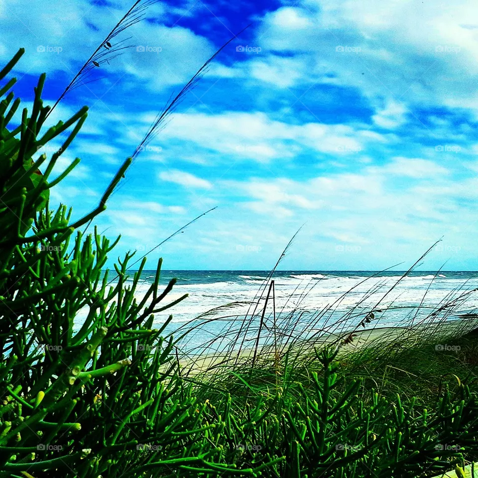 The Beach