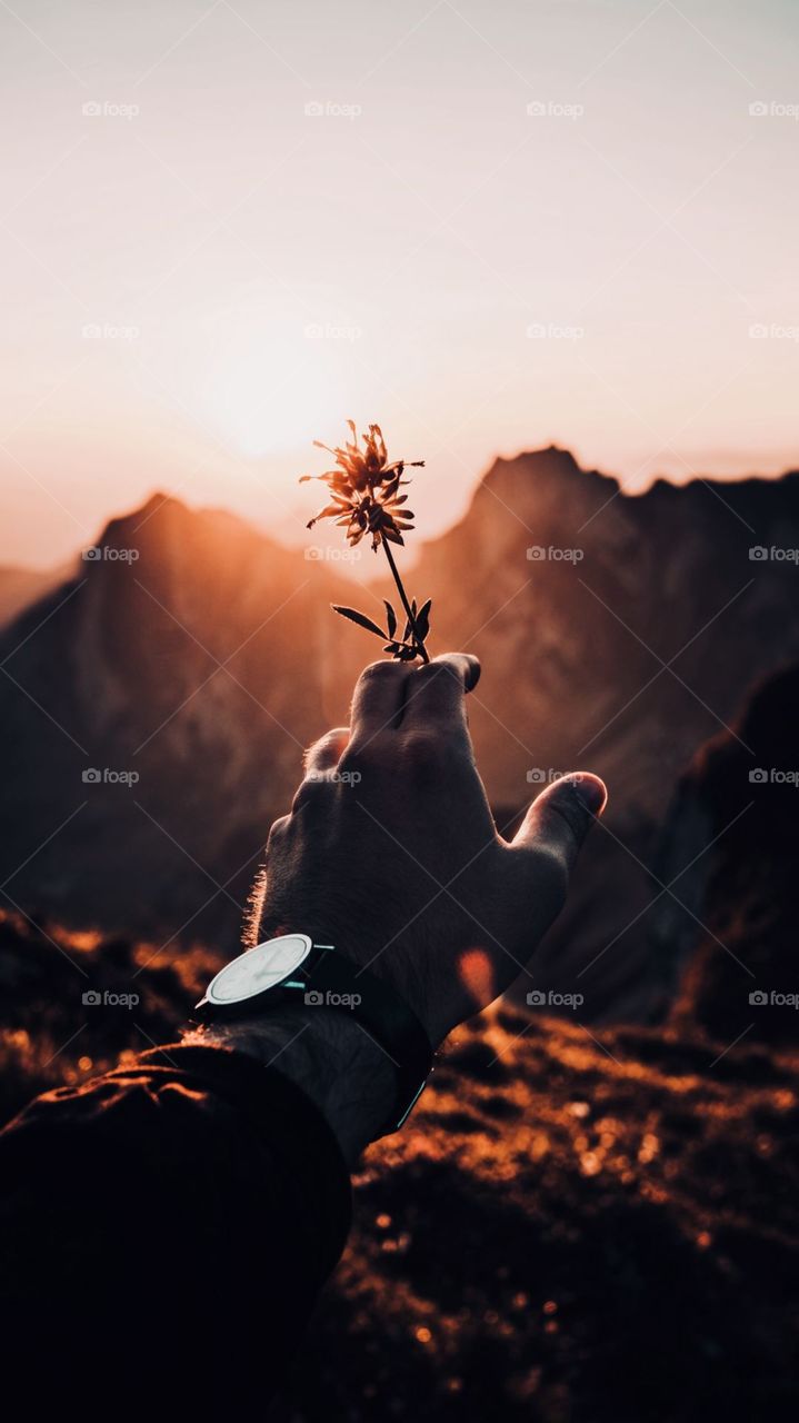 Amazing Captured In Sunset