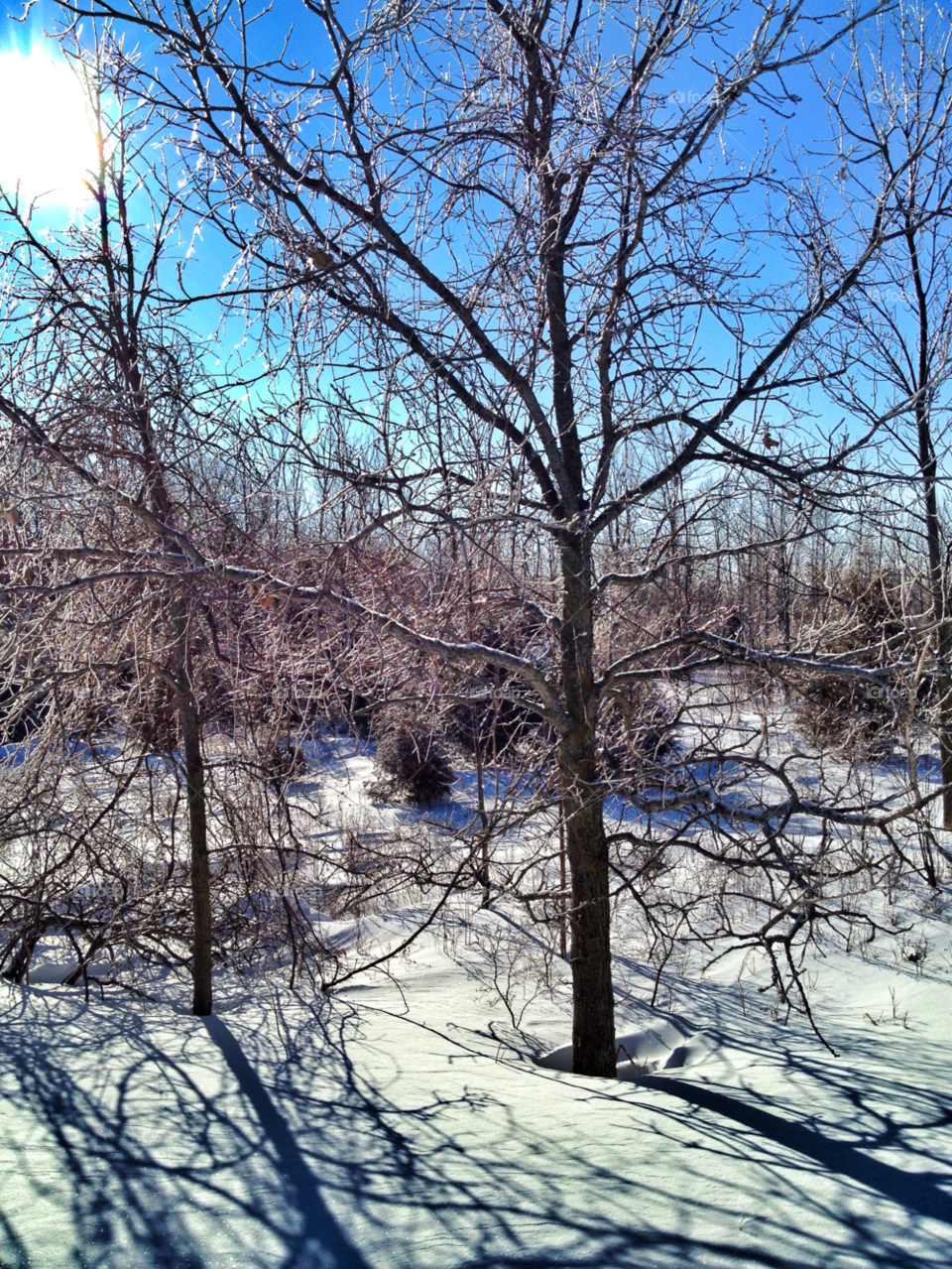 snow winter landscape sky by somebeach