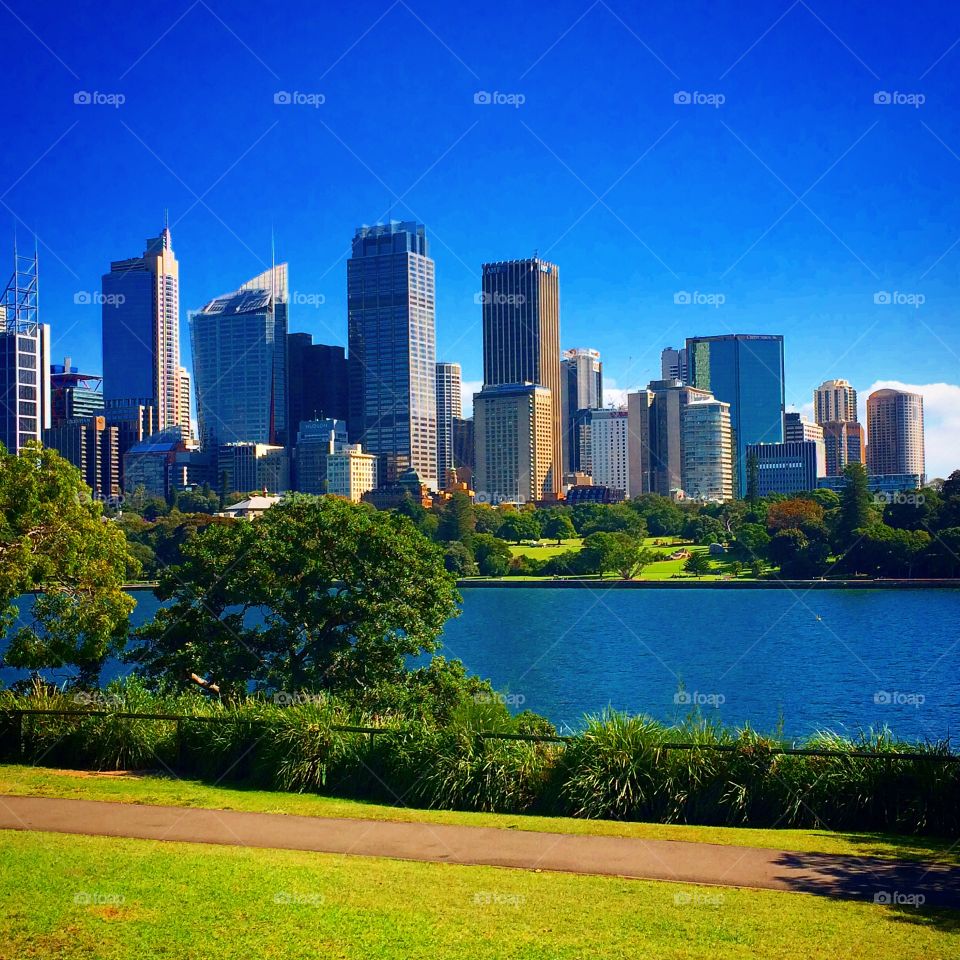 Sydney skyline