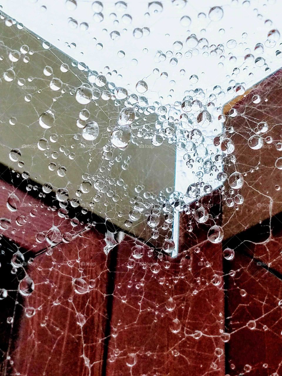 Spiderweb Raindrops