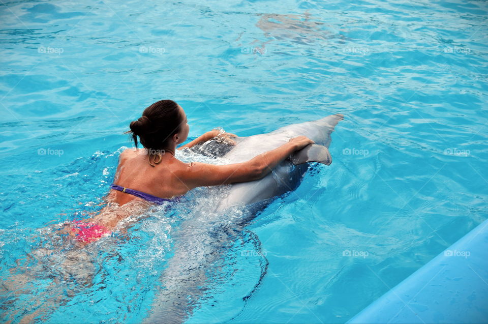 Swimming with dolphins