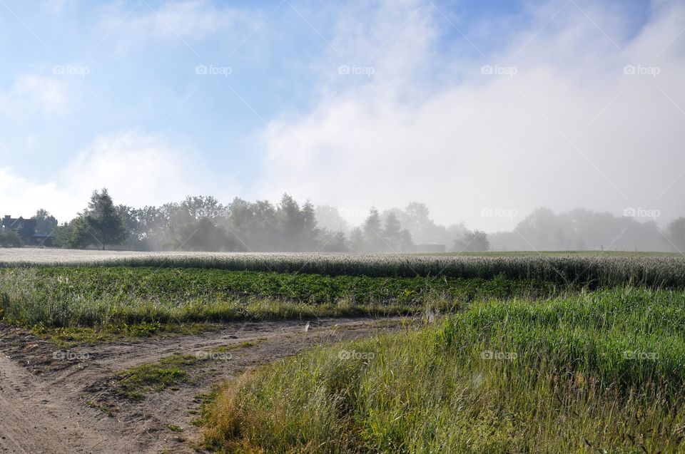 Landscape, No Person, Sky, Nature, Agriculture