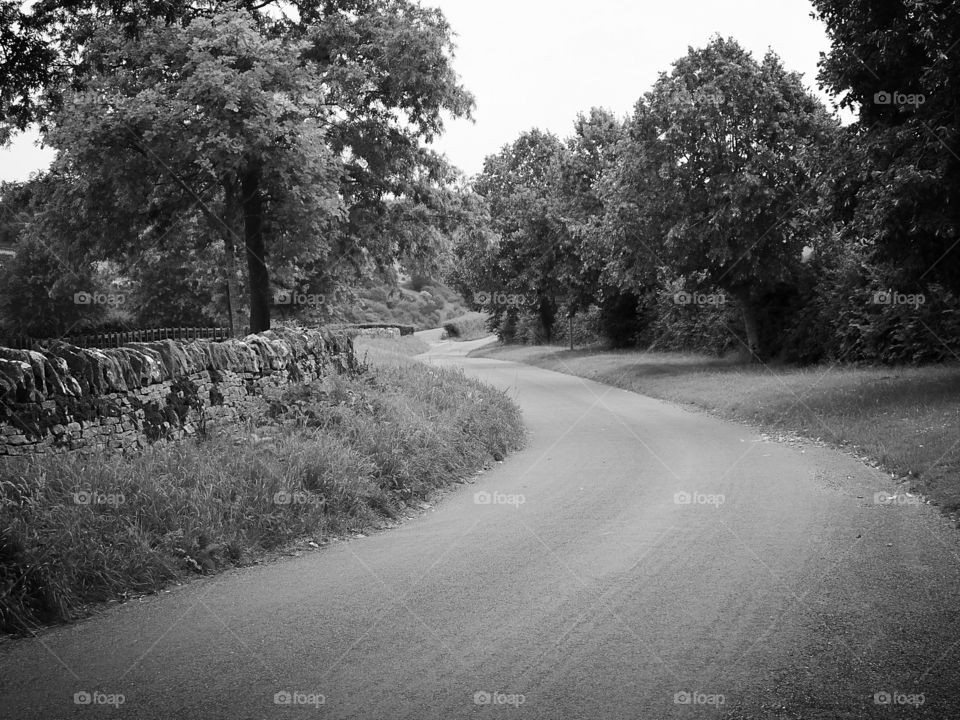 Winding lanes, timeless