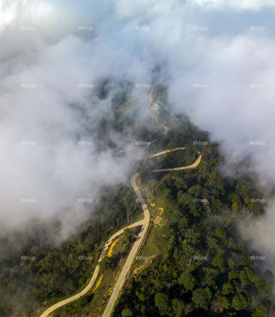 Primary forest in Ngai Thau from aerial view.