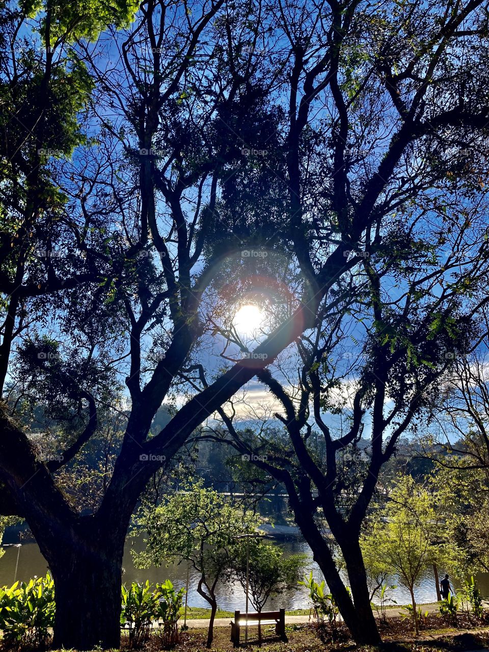 🇺🇸 Taboão Lake, earlier today, in the photographic record. How can you not find peace here? / 🇧🇷 Lago do Taboão, hoje cedo, no registro fotográfico. Tem como não encontrar a paz por aqui?