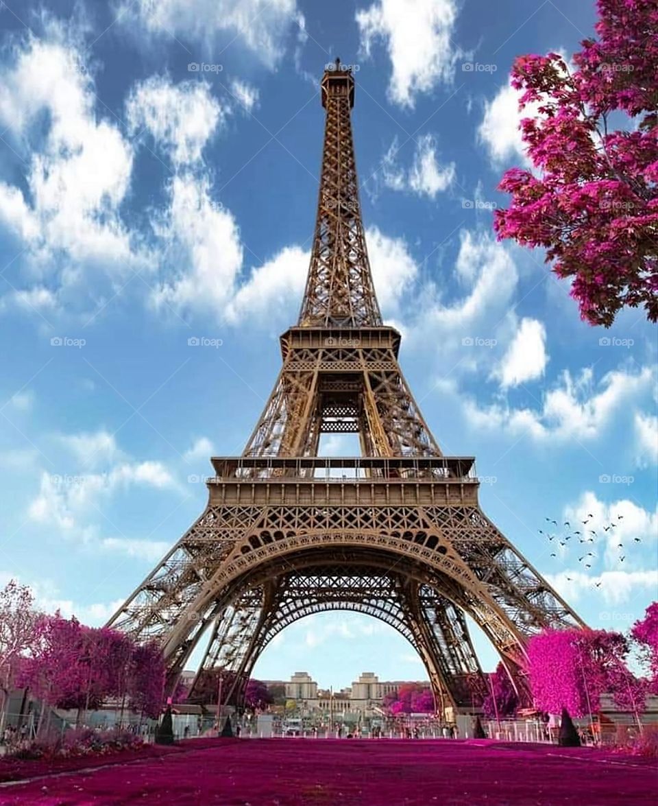 Pictures of very huge buildings and very beautiful architecture and there is nothing more beautiful than it