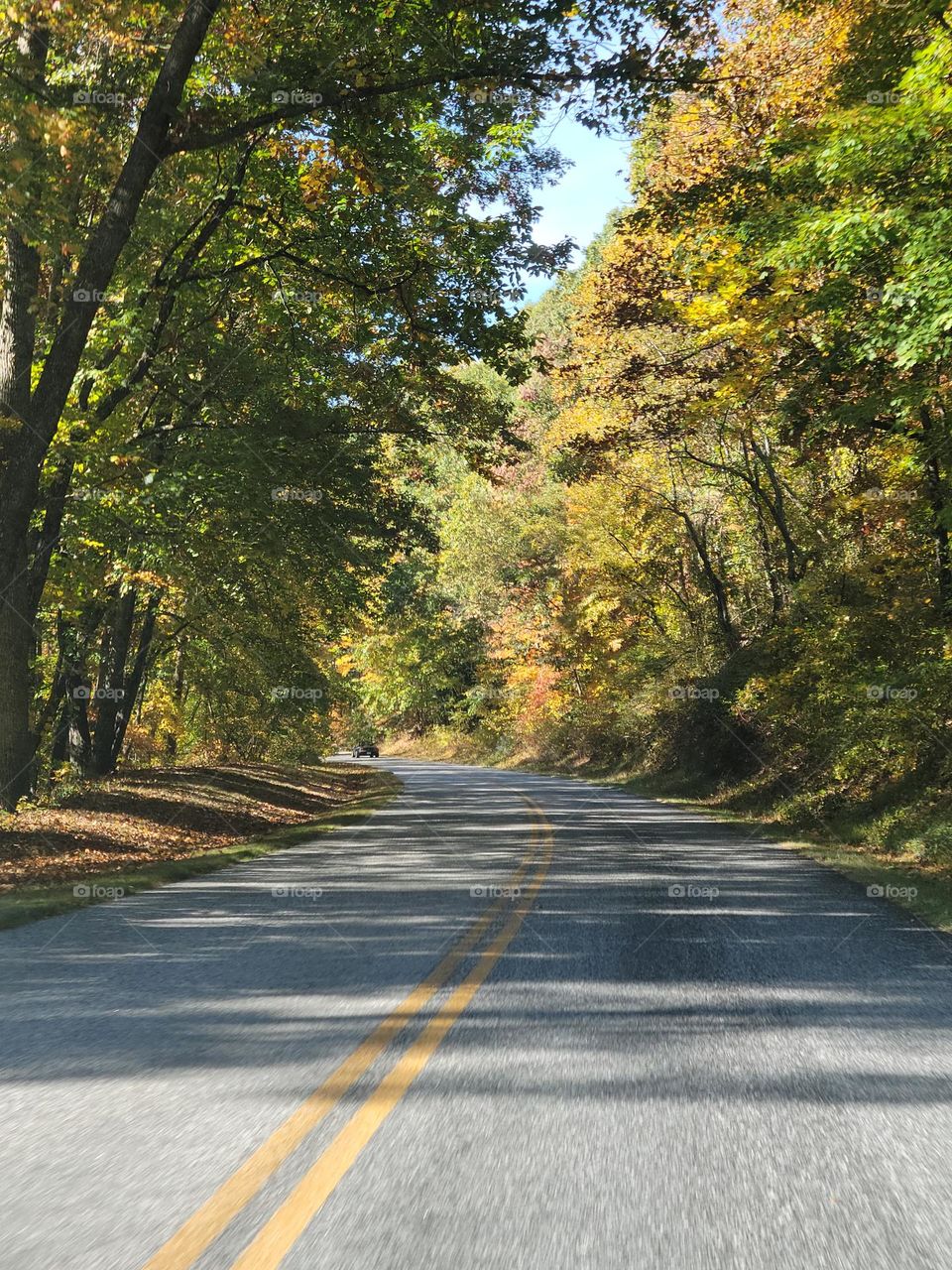Driving on the Parkway