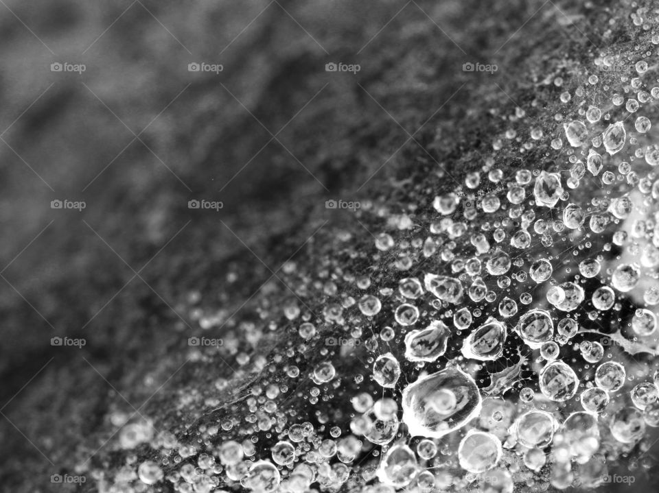 Monochrome raindrops 