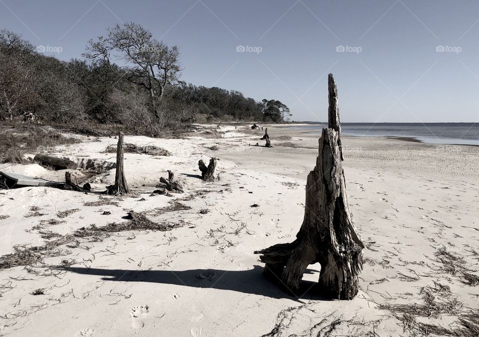 Stark landscape at national seashore during low tide 