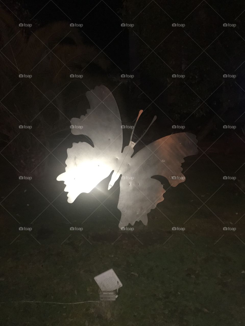 Sochi merry christmas