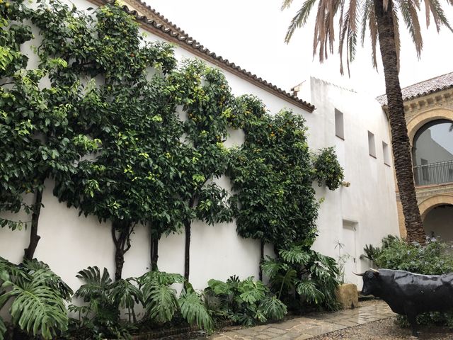 Trees on the wall